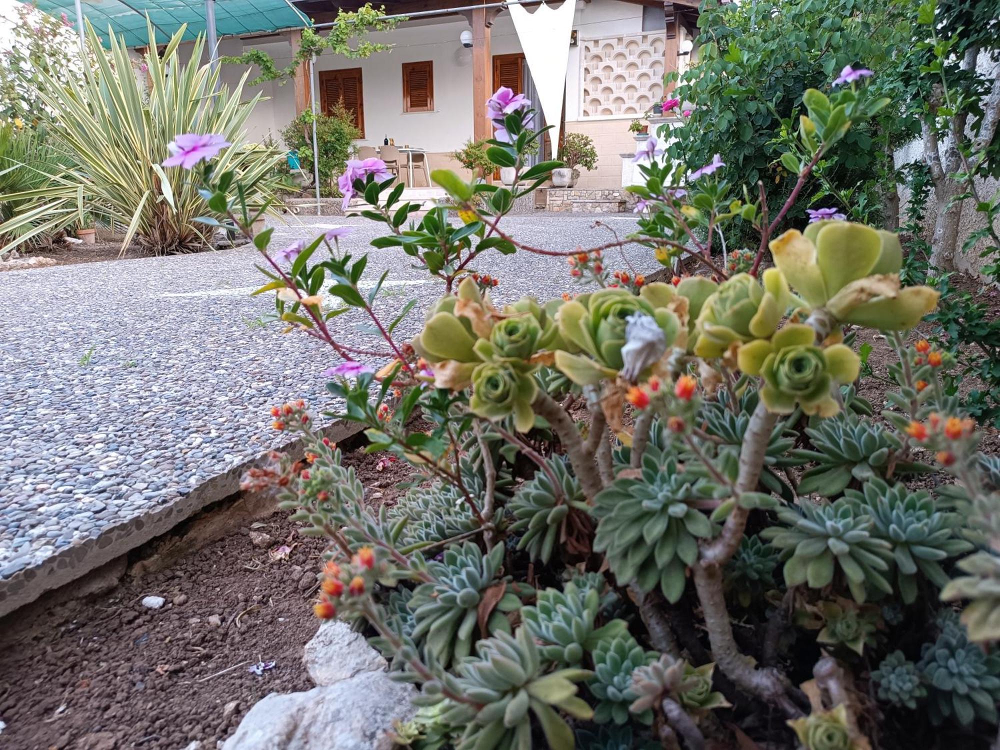 Il Giardino Di Sofia Charm And Comfort Apartment Torre dell'Orso Buitenkant foto